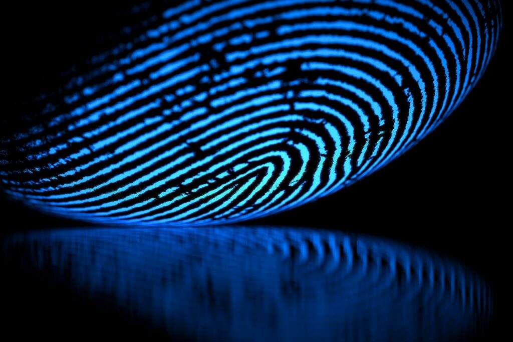 ponto eletrônico biometrico